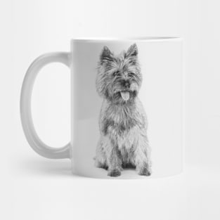 Cairn Terrier - 3a Mug